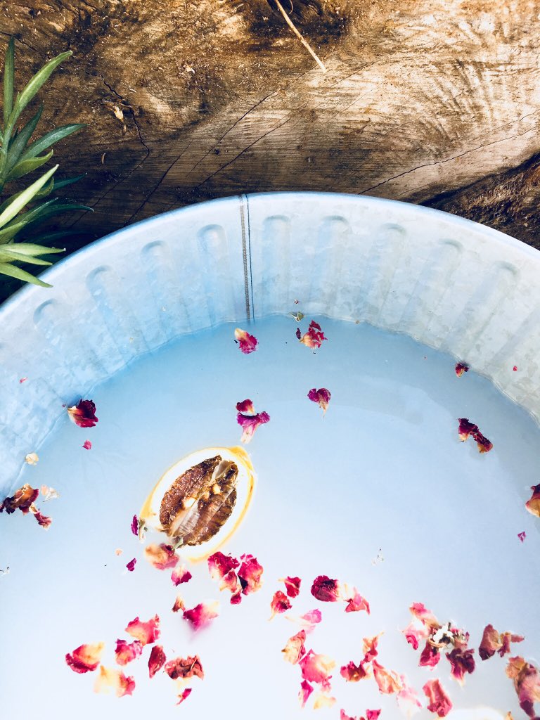 4 Reasons to Take a Bath